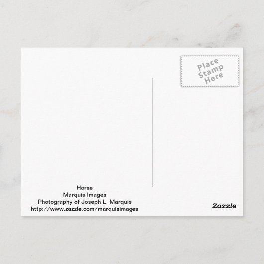 馬 ポストカード (裏面)