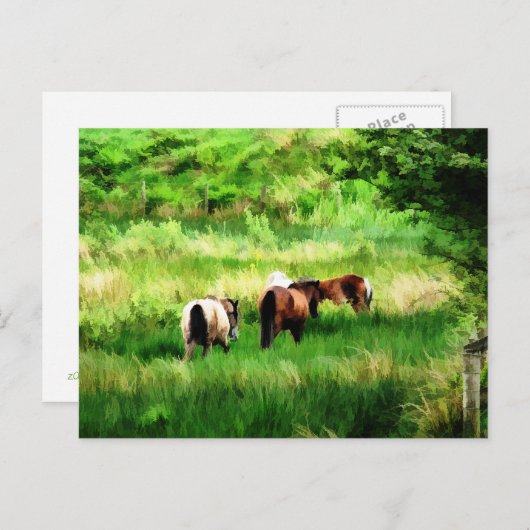 馬 ポストカード (正面/裏面)