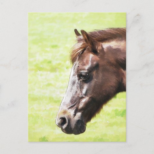馬 ポストカード (正面)