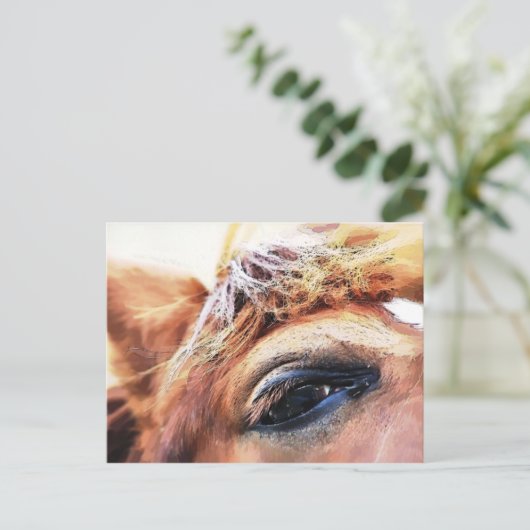 馬 ポストカード (スタンド正面)
