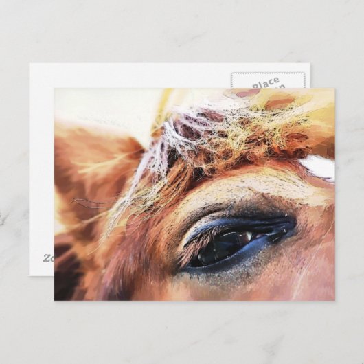 馬 ポストカード (正面/裏面)