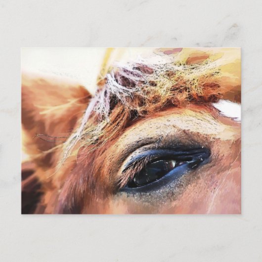 馬 ポストカード (正面)