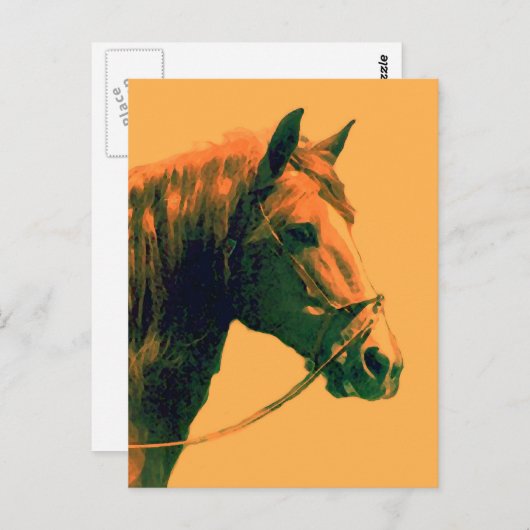 馬 ポストカード (正面/裏面)