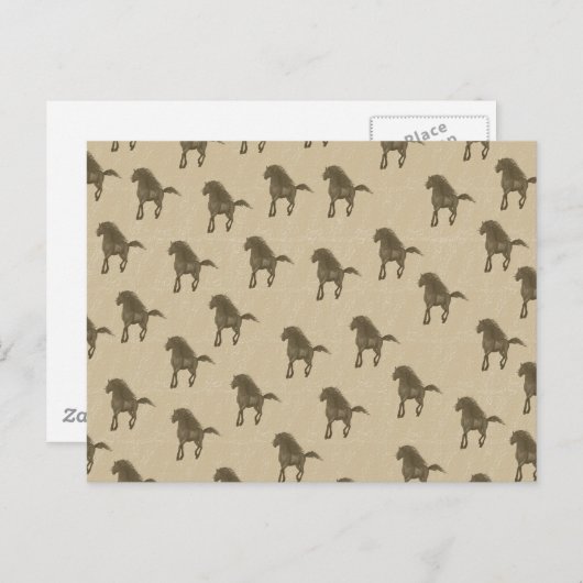 馬 ポストカード (正面/裏面)