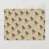 馬 ポストカード (正面)