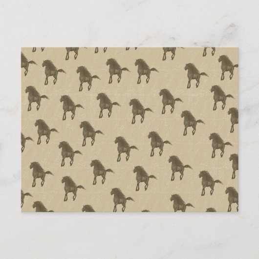 馬 ポストカード (正面)