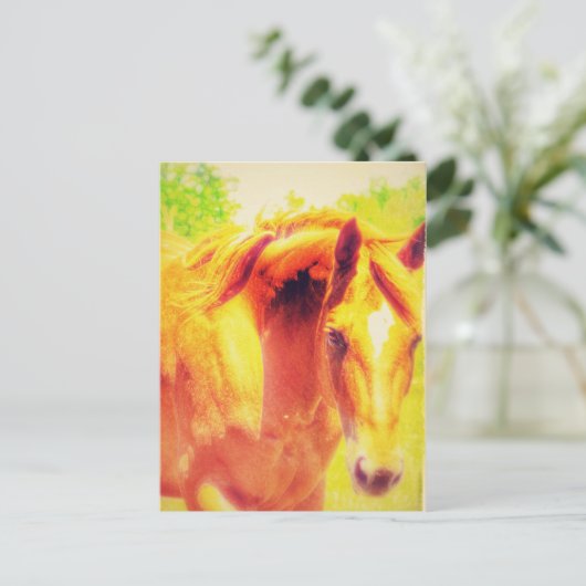 馬 ポストカード (スタンド正面)