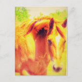 馬 ポストカード (正面)