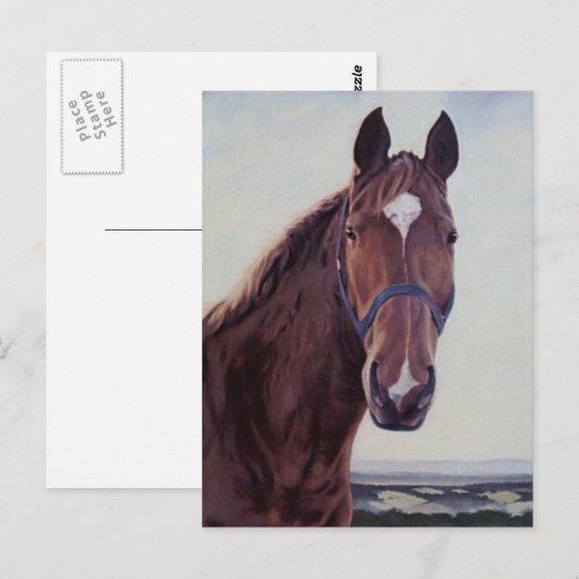 馬 ポストカード (正面/裏面)