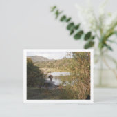 馬 ポストカード (スタンド正面)