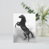 馬 ポストカード (スタンド正面)