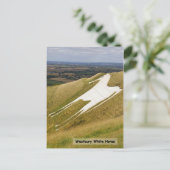 馬 ポストカード (スタンド正面)