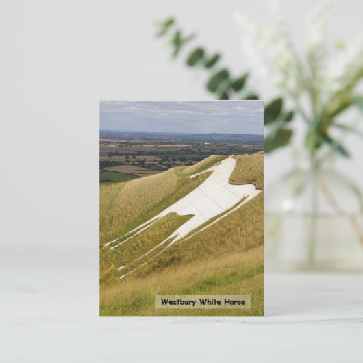 馬 ポストカード (スタンド正面)