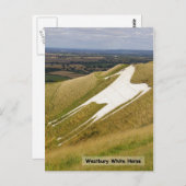 馬 ポストカード (正面/裏面)