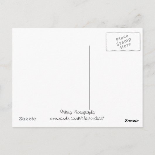 馬 ポストカード (裏面)