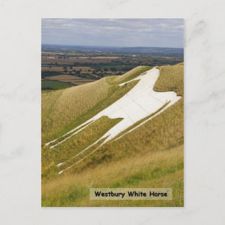 馬 ポストカード