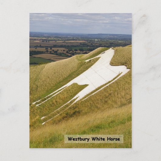 馬 ポストカード (正面)