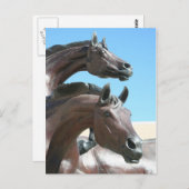 馬 ポストカード (正面/裏面)