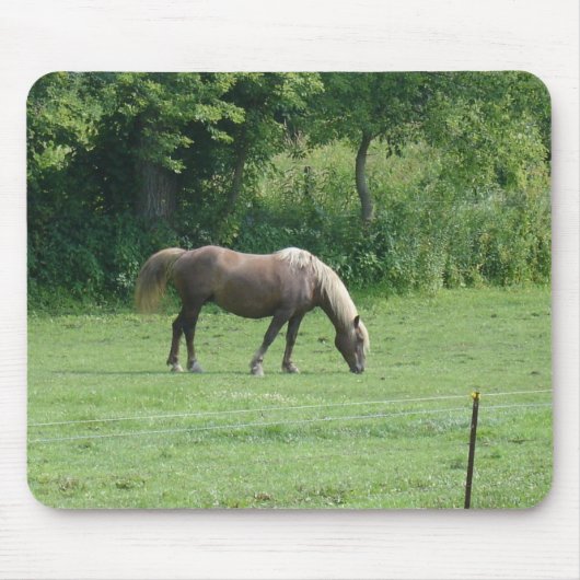 馬 マウスパッド (正面)