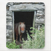 馬 マウスパッド (正面)