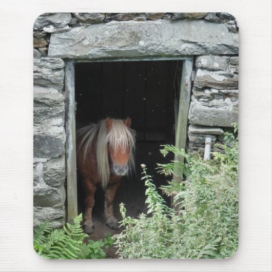 馬 マウスパッド (正面)