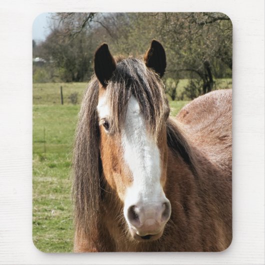 馬 マウスパッド (正面)