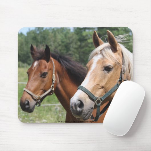 馬 マウスパッド (マウス)