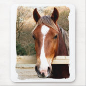 馬 マウスパッド (正面)