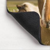 馬 マウスパッド (コーナー)