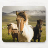 馬 マウスパッド (正面)