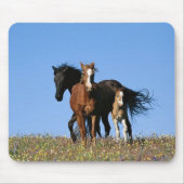 馬 マウスパッド (正面)