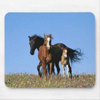 馬 マウスパッド