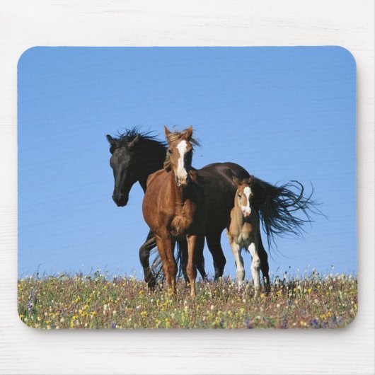 馬 マウスパッド (正面)