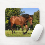 馬 マウスパッド (マウス)