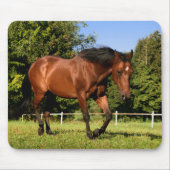 馬 マウスパッド (正面)