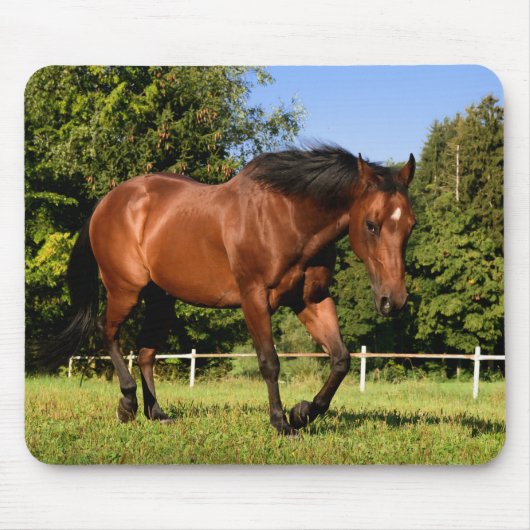 馬 マウスパッド (正面)
