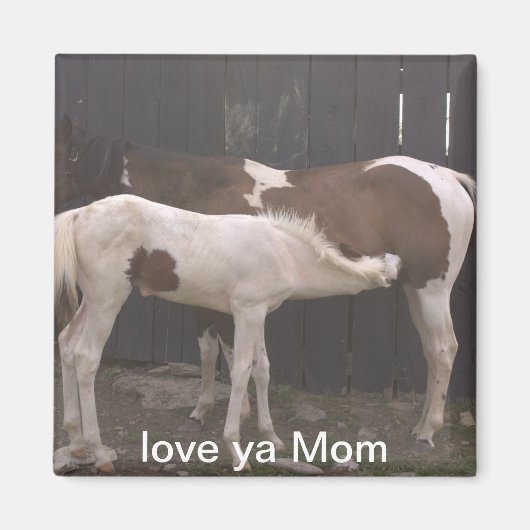 馬 マグネット (正面)