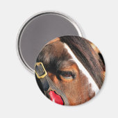 馬 マグネット (正面/裏面)