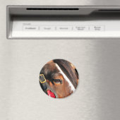 馬 マグネット (インサイチュ (食洗機))