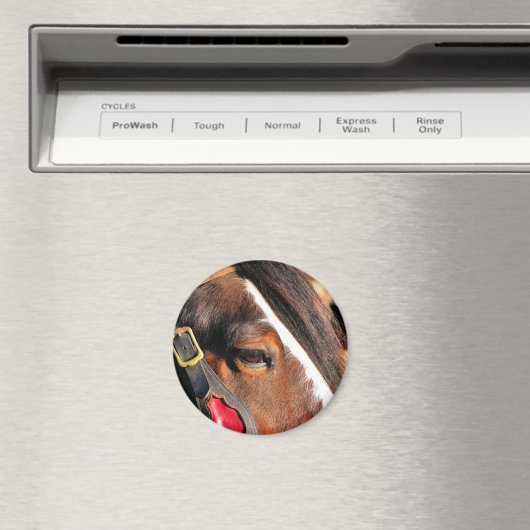 馬 マグネット (インサイチュ (食洗機))