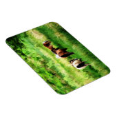 馬 マグネット (右側)