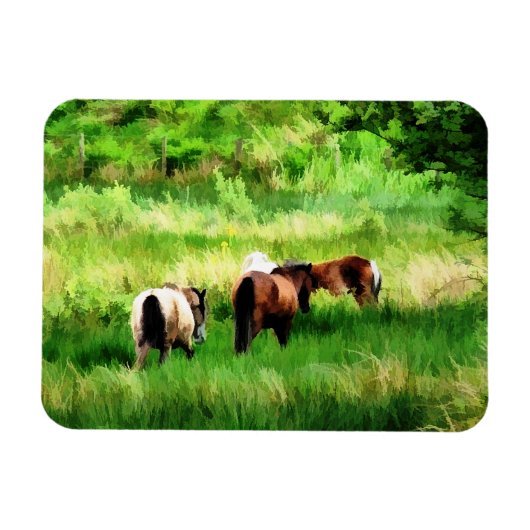 馬 マグネット (横)