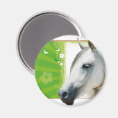 馬 マグネット (正面/裏面)