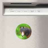 馬 マグネット (インサイチュ (食洗機))