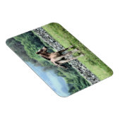 馬 マグネット (右側)