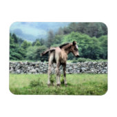 馬 マグネット (横)