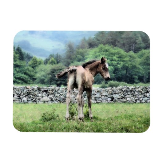 馬 マグネット (横)