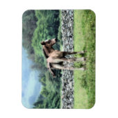 馬 マグネット (縦)