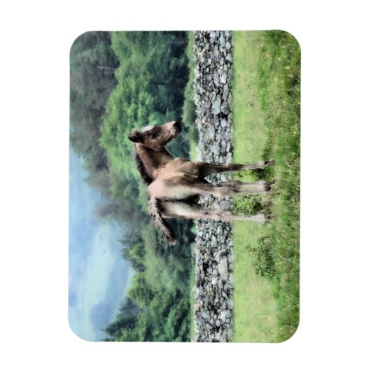 馬 マグネット (縦)