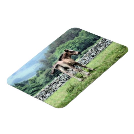 馬 マグネット (左側)